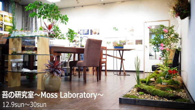 苔の研究室～Moss Laboratory～