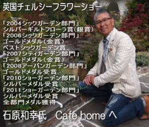 p`FV[t[V[@_Xg@ΌaK@Cafe home X
